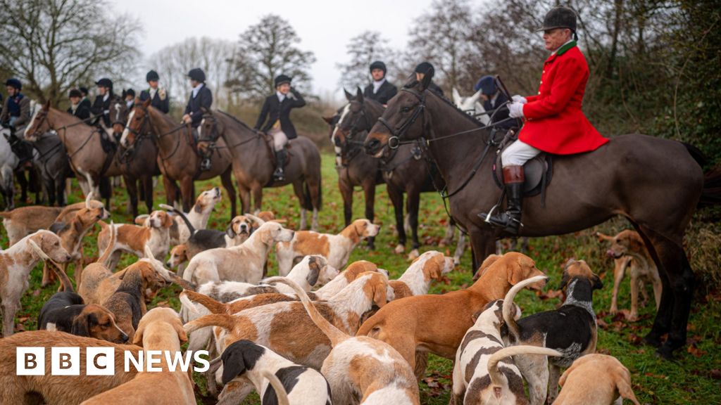 Government 'committed' to banning trail hunting