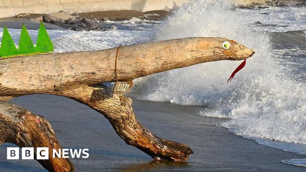 Porthcawl: Fight to save Lizzy 'logness monster' lizard from sea