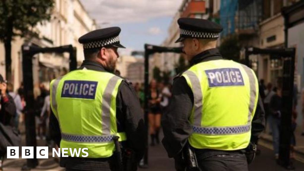 Stabbed woman 'caught up' in fight at Carnival