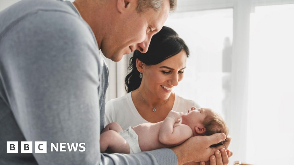 Councillor Faces Backlash Over IVF 'Lifestyle Choice' Comments