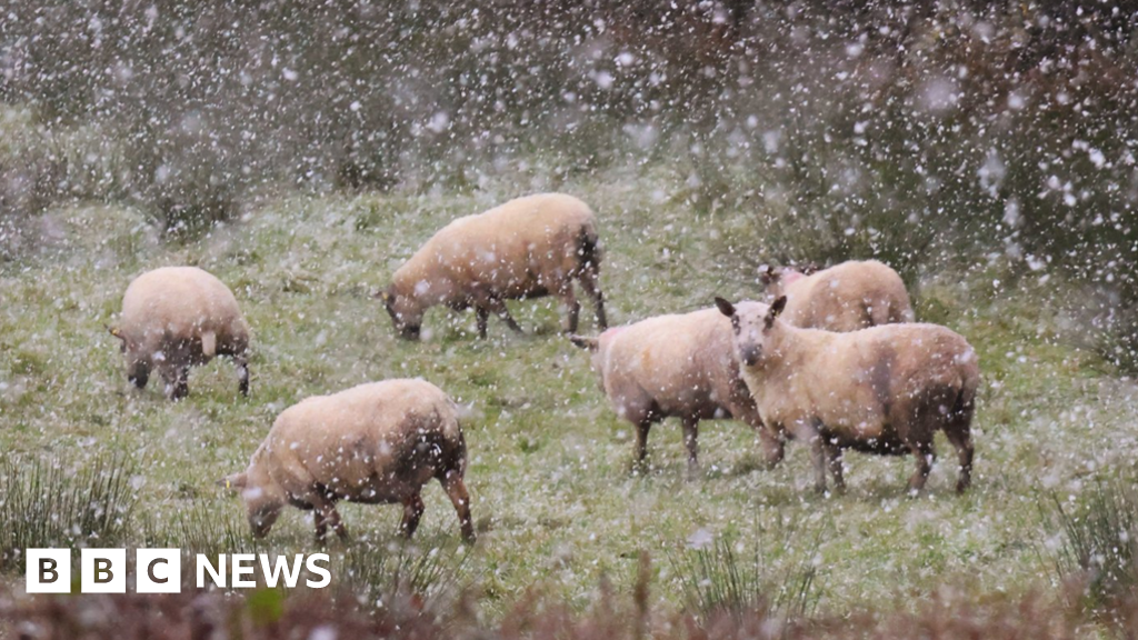 Snow and ice warning in place for parts of Northern Ireland