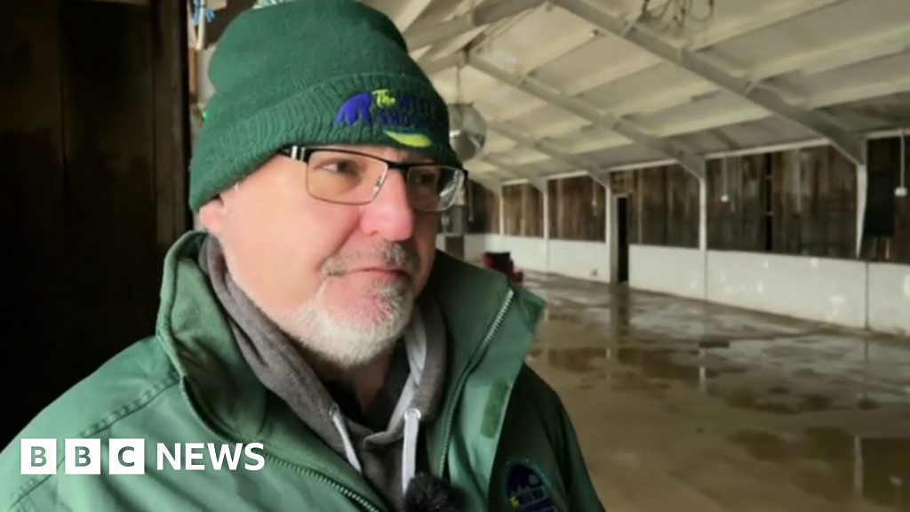 West Mid Showground flood: 'Abnormal becoming normal' as clean-up begins