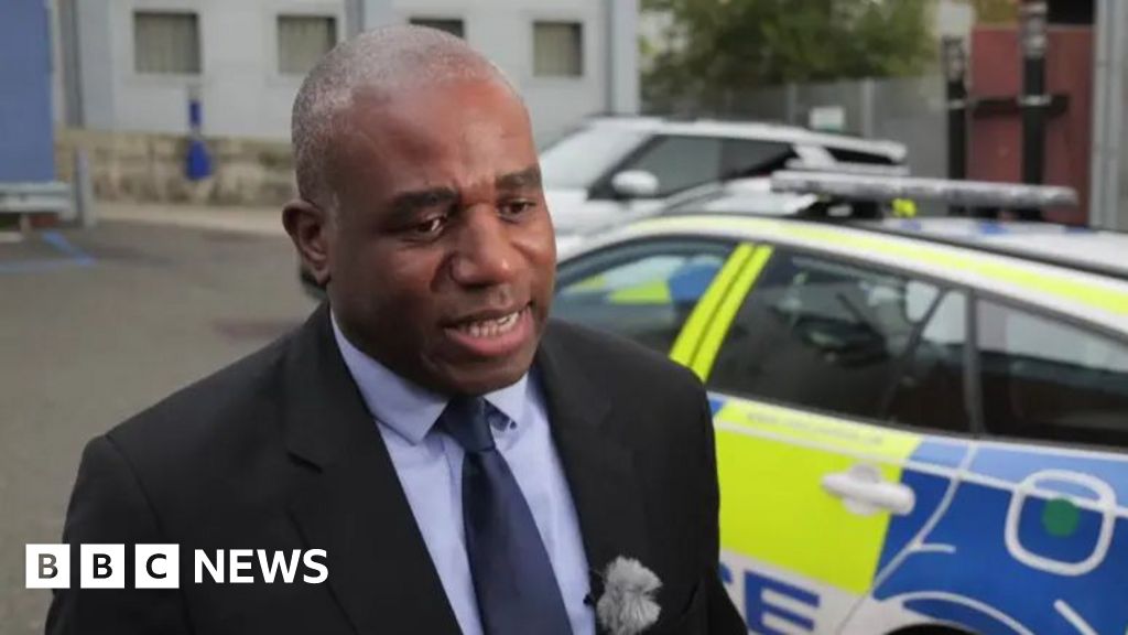 Epping migrant sex offender will be deported 'this week', says Justice Secretary Lammy