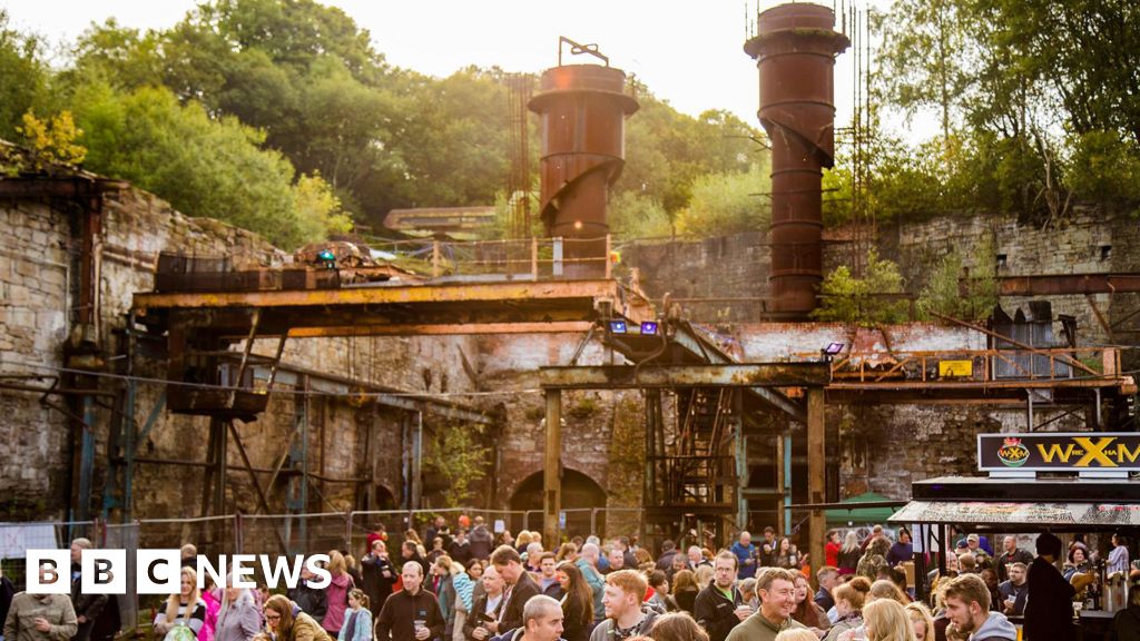 Fossilised forest found by accident to be free to visit