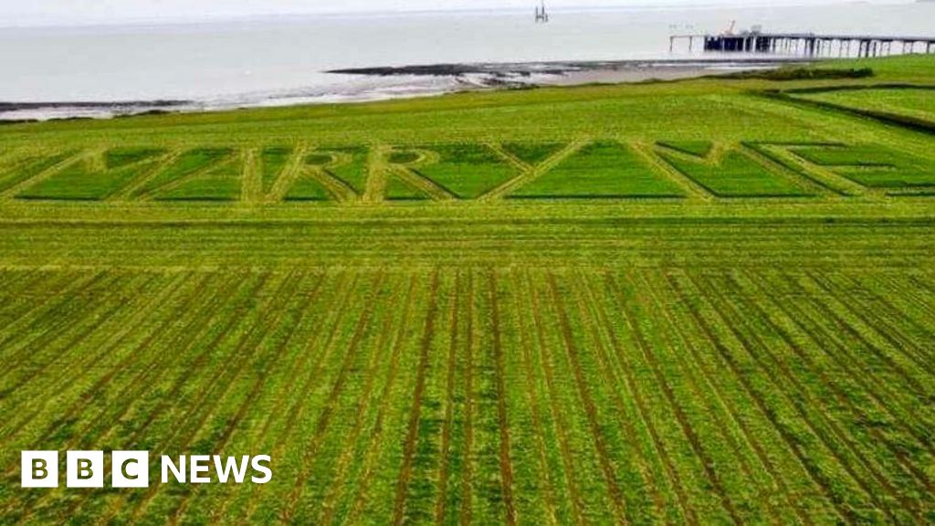 Somerset farmer proposes by mowing 'marry me' into his field
