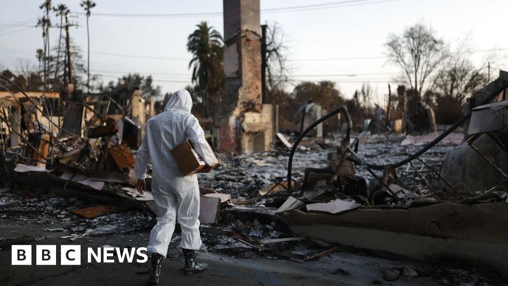 More than 400 indirect deaths linked to LA wildfires, study suggests