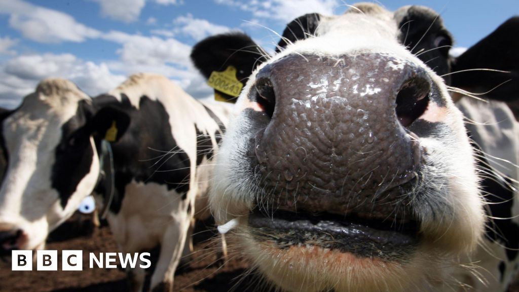 bbc.co.uk - Owen Sennitt - Norwich livestock market's new site located outside the city - BBC News