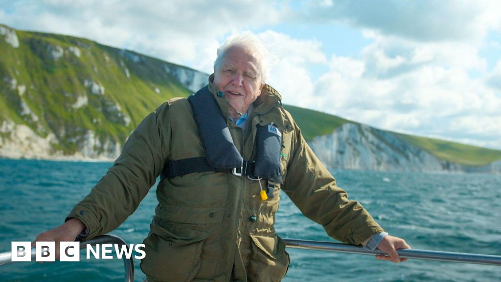 How Attenborough inspired natural world in South