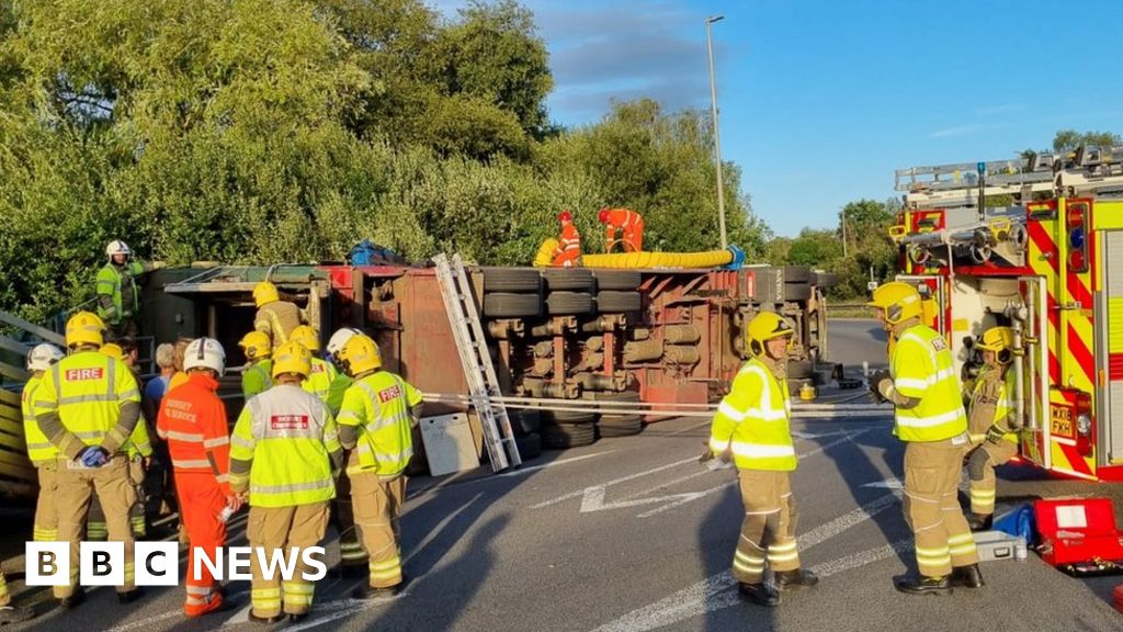 Lorry With Livestock Overturns On Roundabout In Dorset Bbc News