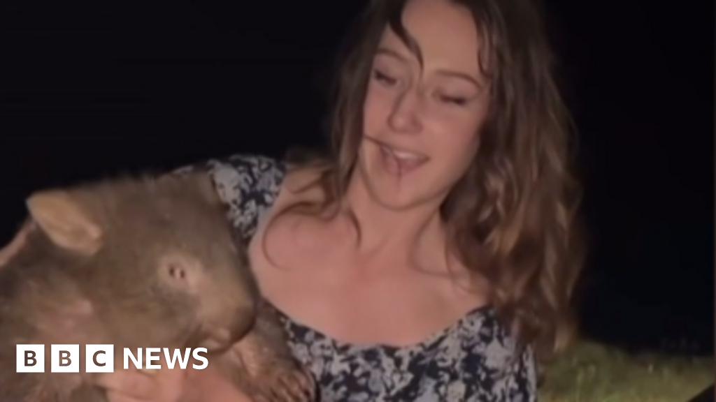 Pengaruh US yang Menculik Bayi Wombat Telah Meninggalkan Australia