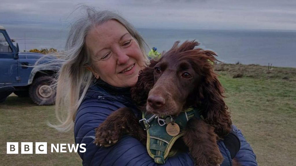 Coastguards lower dog owner down cliff to rescue pet