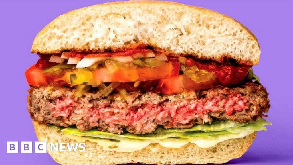 TED 2019: The $50 lab burger transforming food