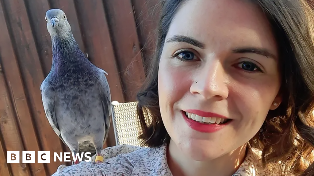 PR for pigeons: Woman's mission to give the birds a better image