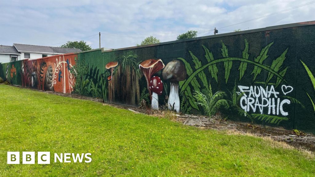 Faunagraphic: New Sheffield murals 'inject life' into estates - BBC News