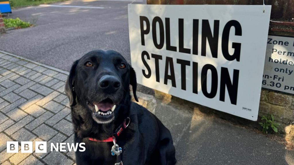 Norfolk polling stations close for general election