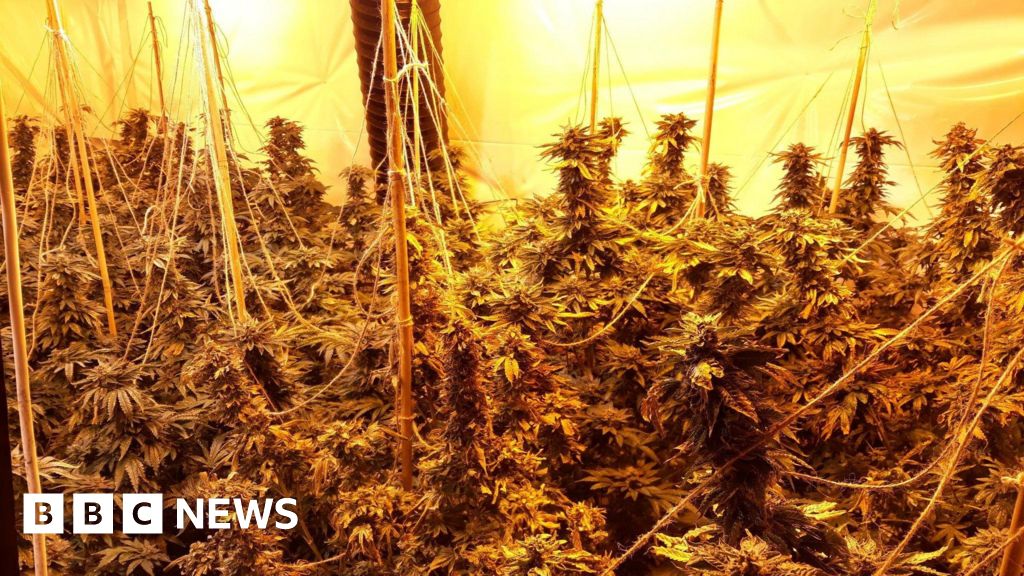 Police close down Hucknall house as cannabis farm found BBC News