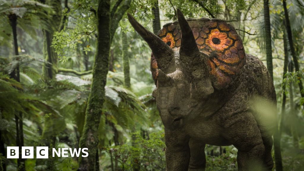 Triceratops’ secret weapon in fight with T. rex