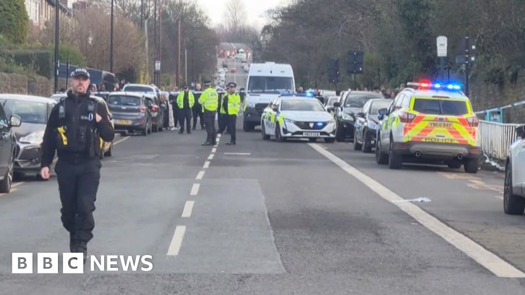 Anak laki -laki, 15, meninggal di menusuk sekolah Sheffield