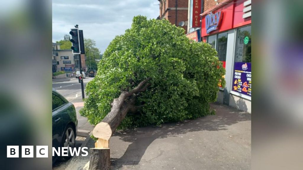 Tree illegally felled with chainsaw in Kidderminster street BBC News