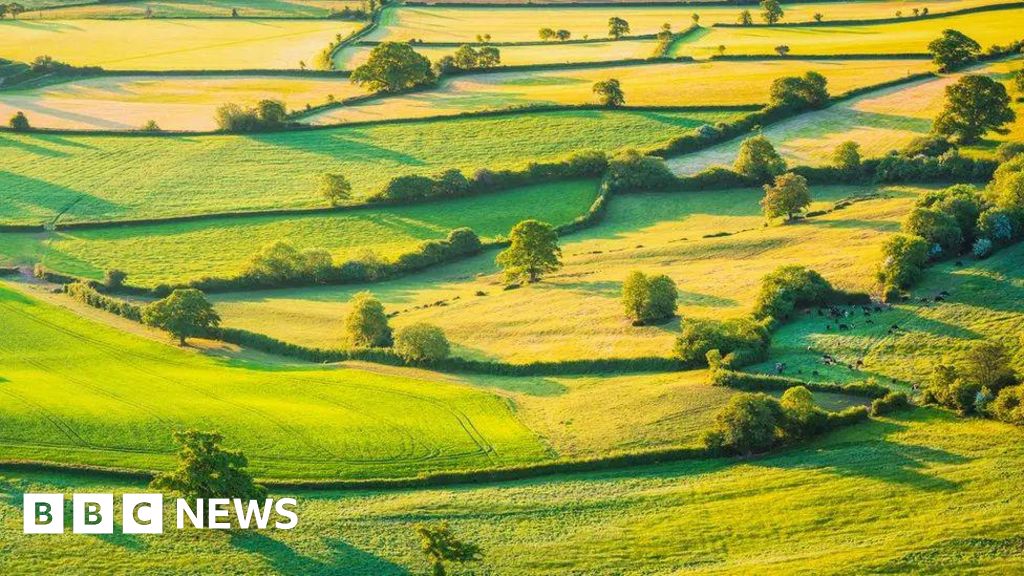 Environmental scheme closure a ‘shattering blow’ to farmers – NFU