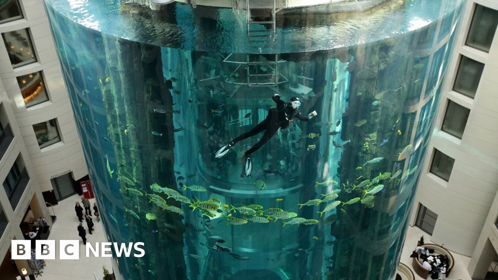 Berlin's giant AquaDom hotel aquarium containing 1,500 fish explodes