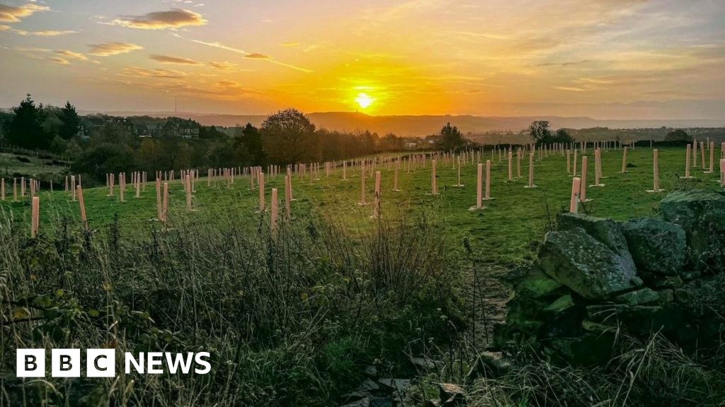 Yorkshire community forest named England’s best