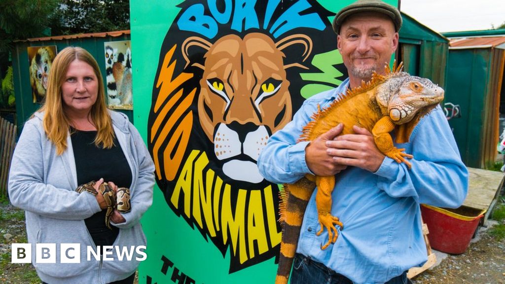 UK's last captive black leopard dies at Exmoor Zoo - BBC News