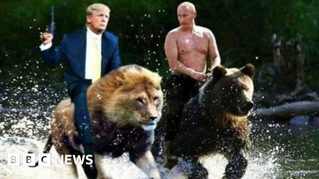 Putin bear