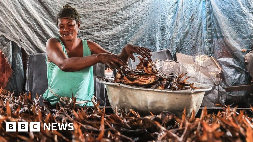 Africa's week in pictures: 8-14 August 2023