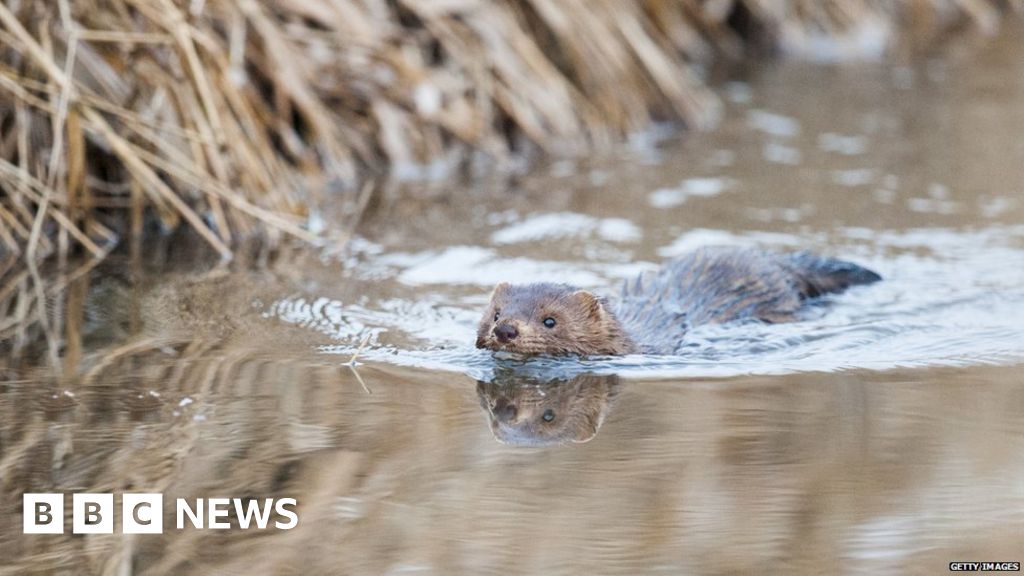 Five Plants And Animals We Don T Want Any More Of Bbc News