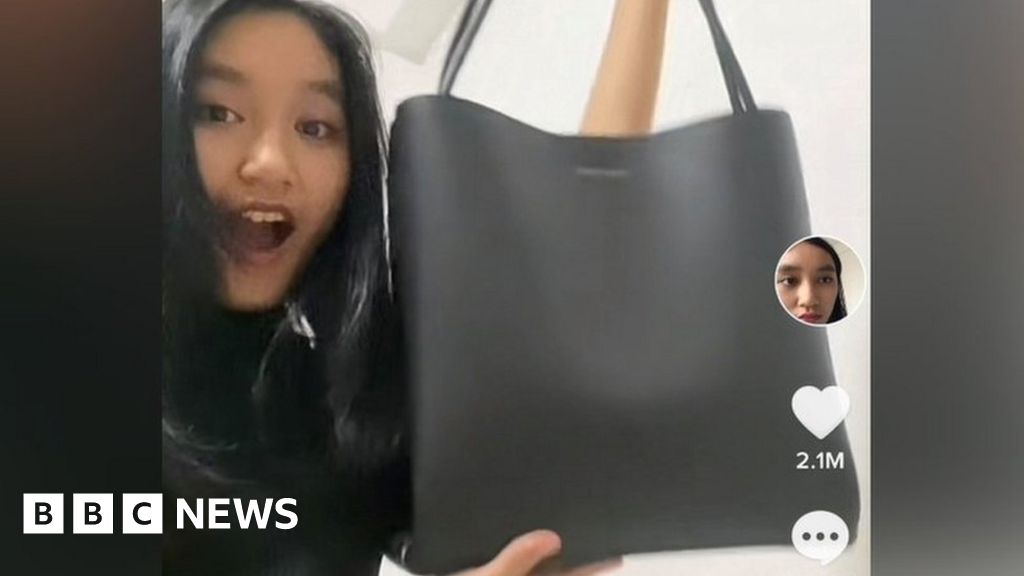 Singapore inequality: How a tote bag sparked a debate about class