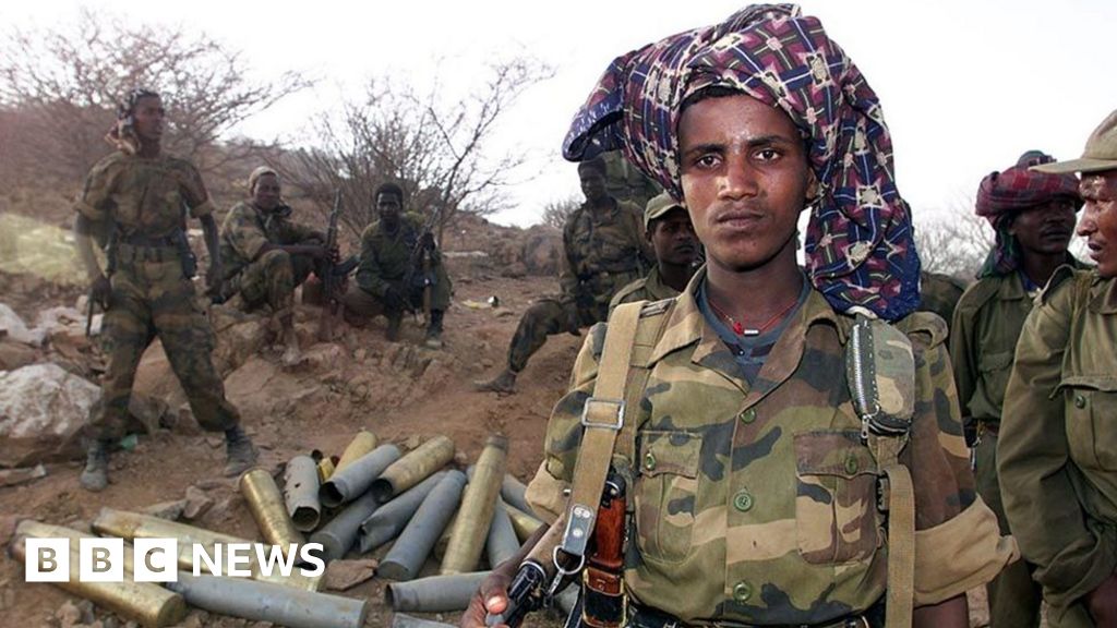 Remembering EritreaEthiopia border war Africa's unfinished conflict