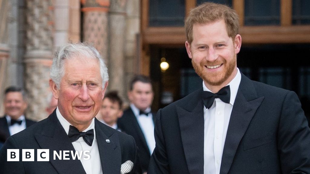 El rey Carlos ha tratado de detener el reclamo de piratería del príncipe Harry, un tribunal ha escuchado
