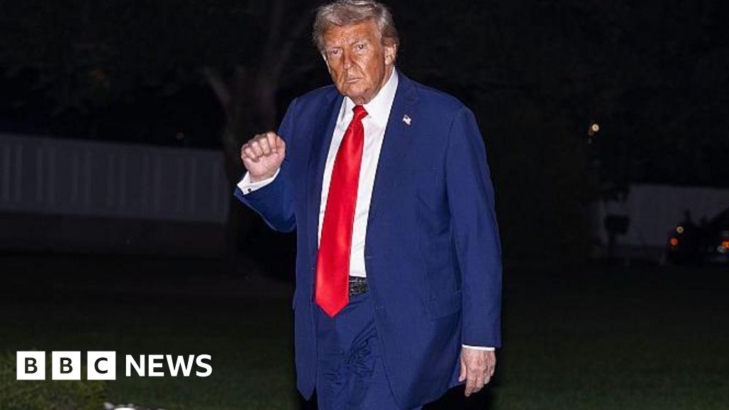 US Supreme Court to revisit laws curtailing Trump's power to fire top officials