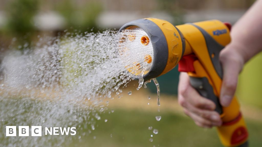 South West Water hosepipe ban to be extended to parts of Devon BBC News