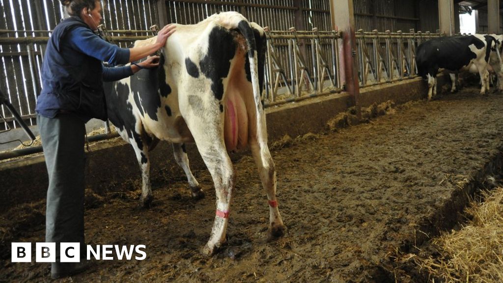 Brexit: veterinarians concerned about animal-drugs-no-deal