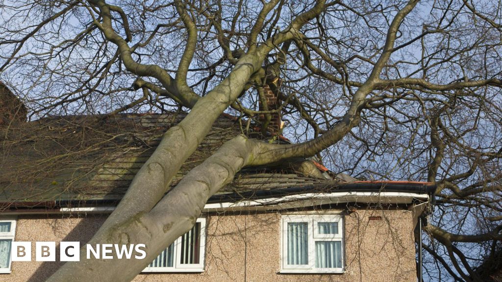 Super-complaint launched against 'broken' insurance industry