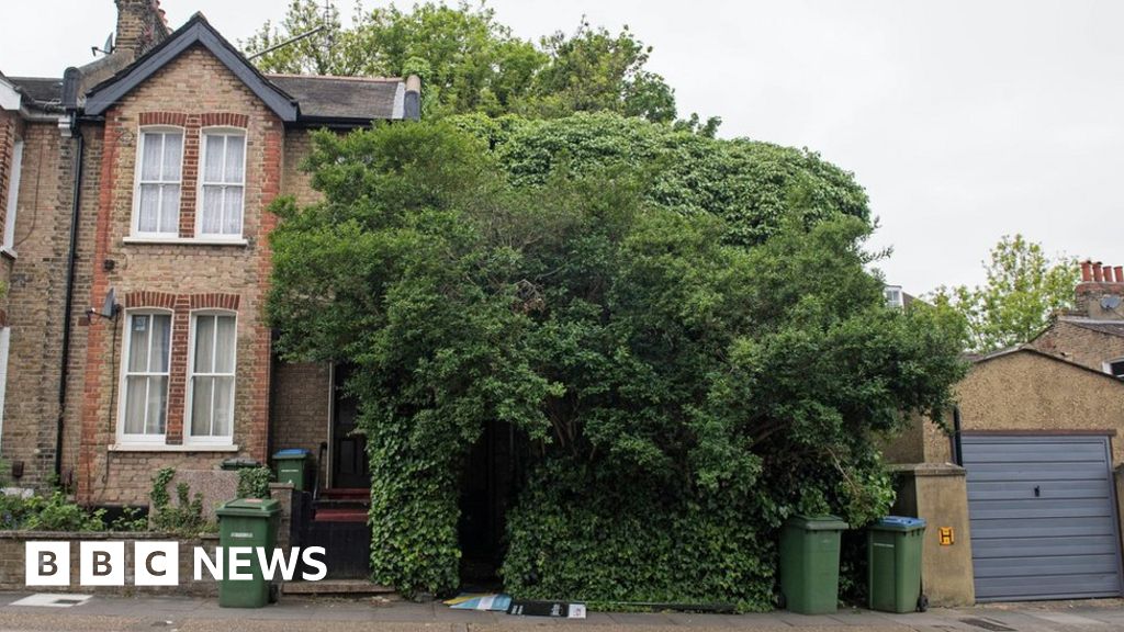 Blackheath House Swallowed By Plants Sold For £554 000 Bbc News