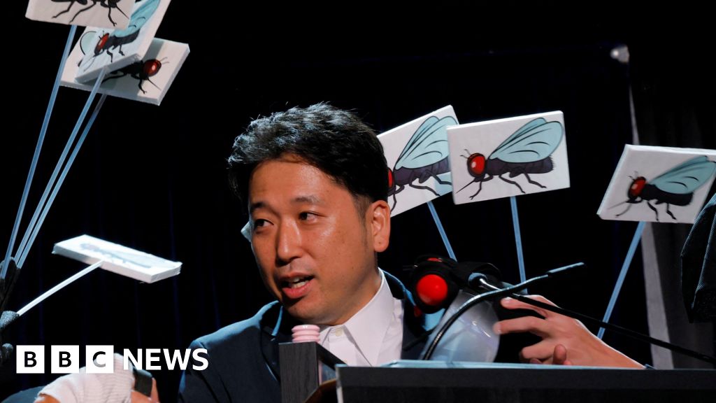 Zebra cows and Teflon food make Ig Nobel prize winners