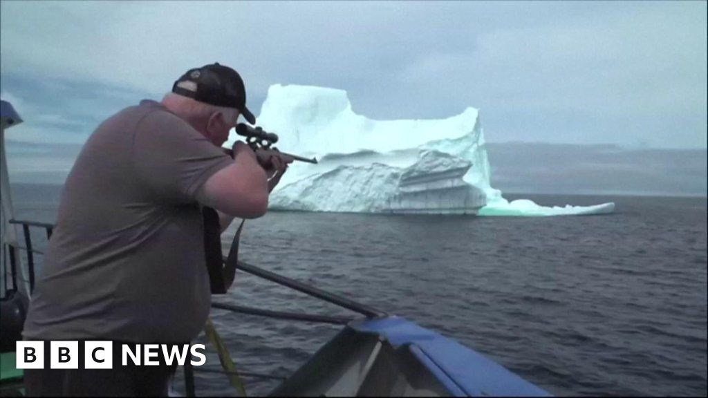 Do these icebergs produce the worlds purest water?