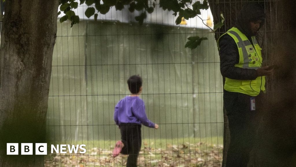 Migration Bill: Lords reinsert child detention limits