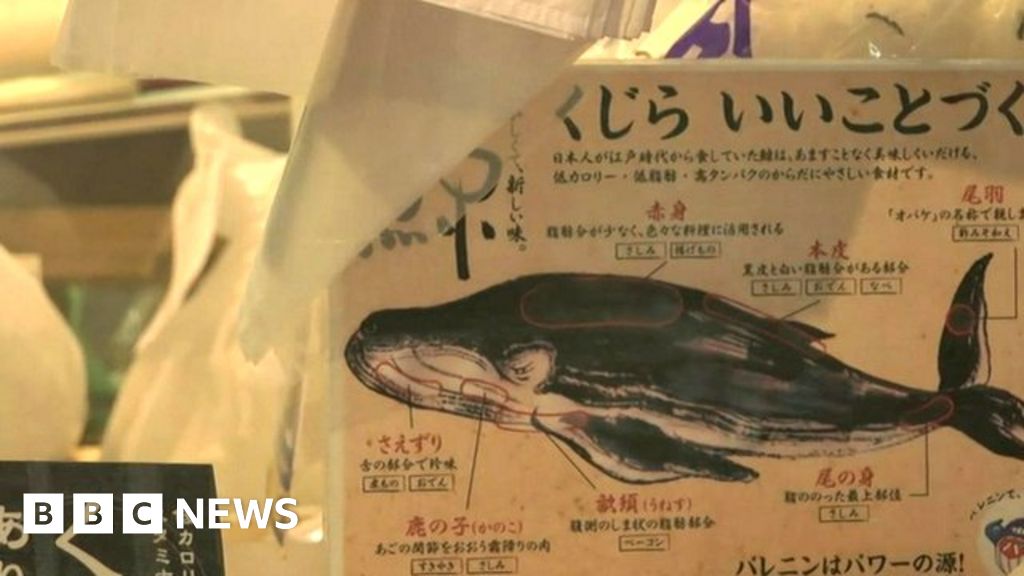 Is Japan losing the taste for whale meat? BBC News