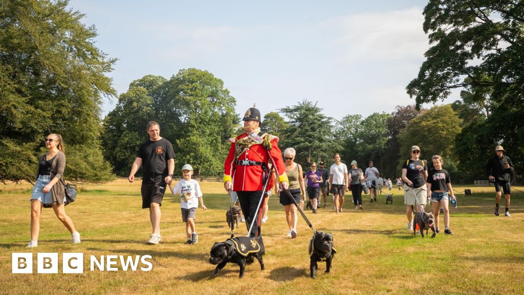 bbc.co.uk - Richard Price - Over 100 people and dogs join 'biggest' Staffy walk at Weston Park