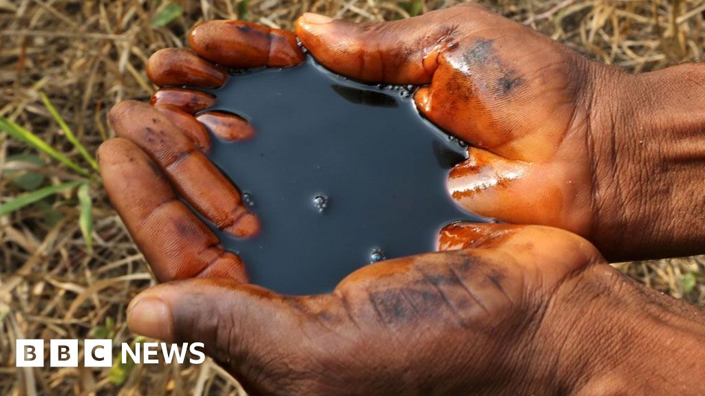 Oil clean-up 'scam' warnings ignored by Shell, whistleblower tells BBC