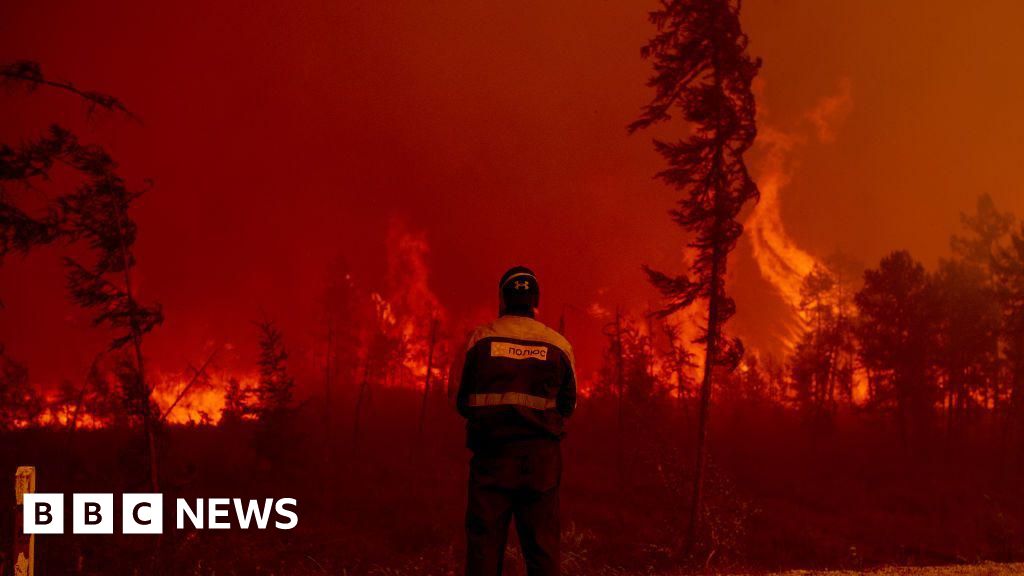 تقول خدمة المناخ في الاتحاد الأوروبي إن حرائق الغابات في القطب الشمالي تجتاح المنطقة