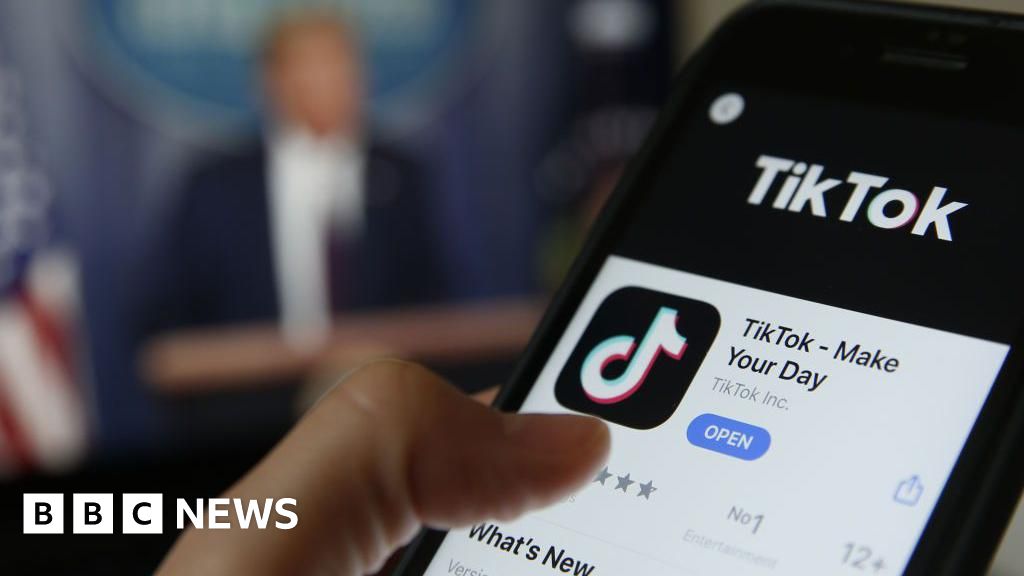 TikTok ban likely to spread to US allies - including UK