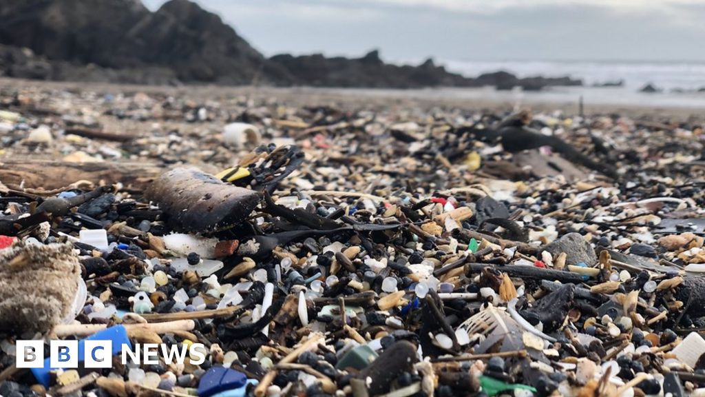Beach visitors 'left speechless' by plastic debris