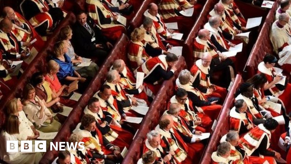 House of Lords: Does size matter? - BBC News