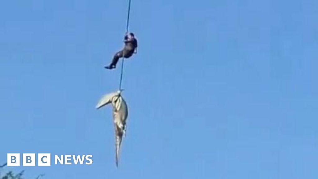 South African police officer lowered into crocodile-infested river to recover human remains