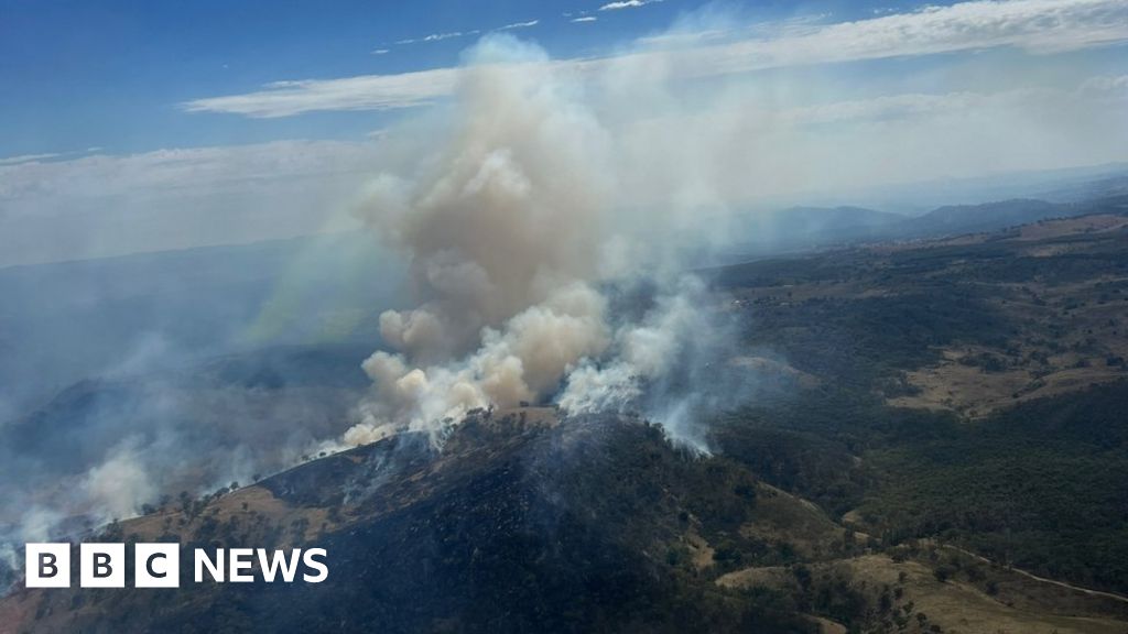 Dozens of bushfires spread as heat grips Australia's east
